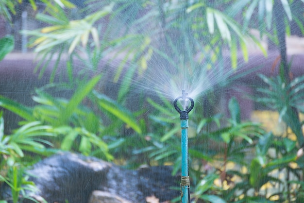 Foto riego por aspersión para plantas en jardín o parque