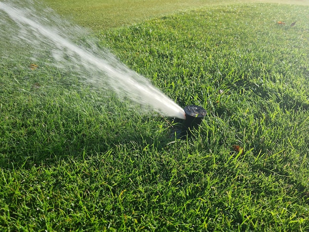 Riego automático por aspersión para jardines de césped y campos de golf