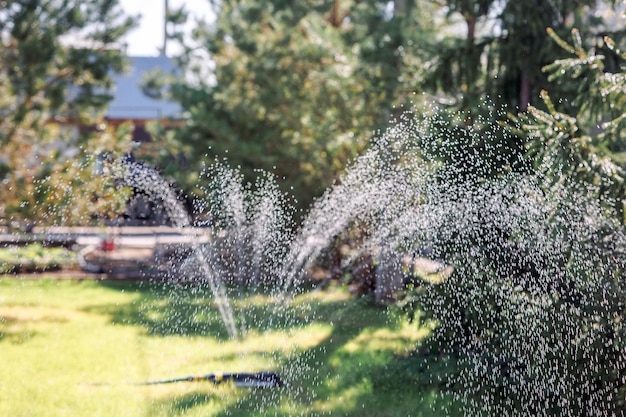 Riego del césped Sistema de riego aspersor de césped rocíe agua sobre hierba verde fresca en el jardín en la mañana de verano a la luz del sol al aire libre con fondo natural borroso Espacio de copia de gran formato de primer plano