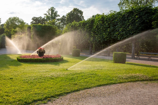 Riego de céspedes en el parque del palacio de Schoenbrunn