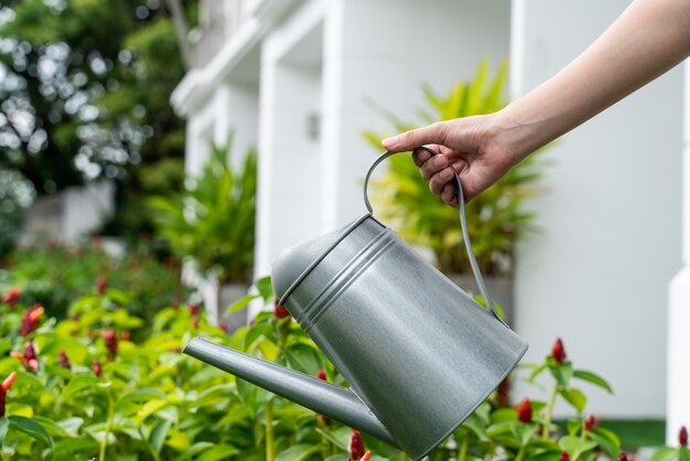 Riego de plantas con regadera en el jardín.