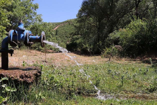 Riego de terrenos con motor de agua