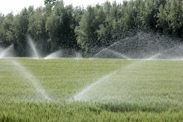 riego de tierras de cultivo