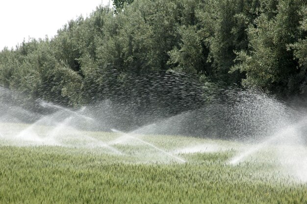 riego de tierras de cultivo