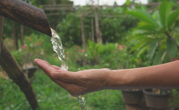 Riegue la colada en mano de la mujer en fondo de la naturaleza.