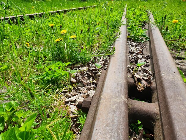 Los rieles del ferrocarril están en un estado de abandono