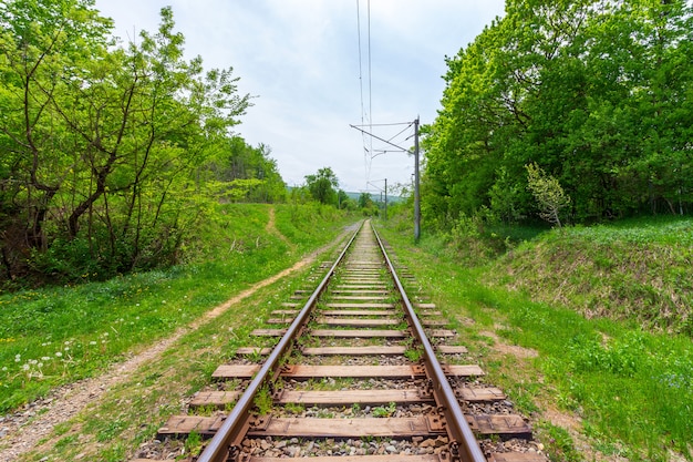 Rieles de ferrocarril con traviesas de madera en verano o primavera.