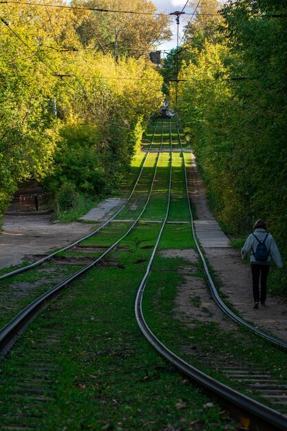 Los rieles del tranvía se colocan en el parque.