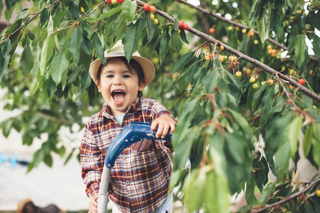 Riendo a un niño caucásico usando una escalera para recoger la cereza sonriendo a la cámara cerca del árbol