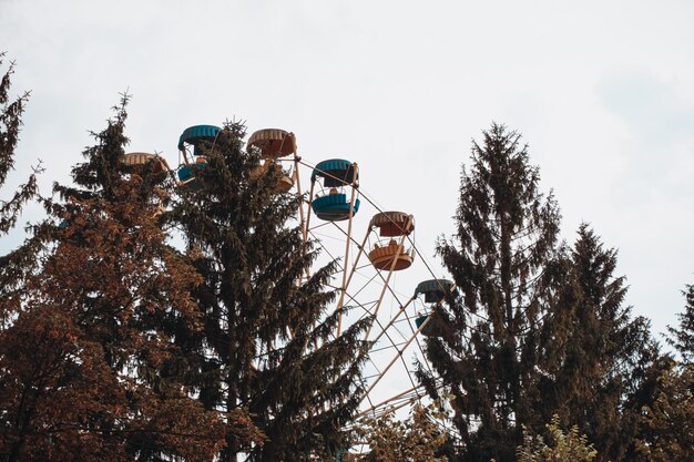 Riesenrad-Attraktion auf dem Hintergrund des Himmels zwischen den Bäumen