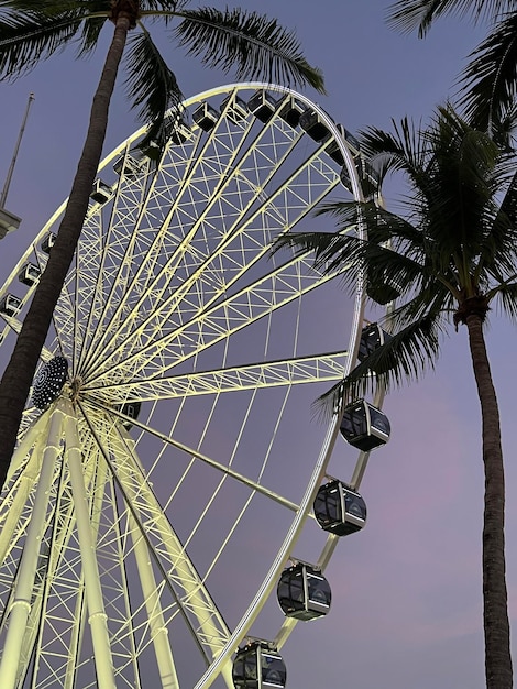 Riesenrad im Park in der Innenstadt von Miami bei Sonnenuntergang