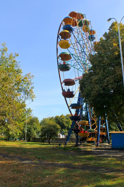 Riesenrad in einem Park