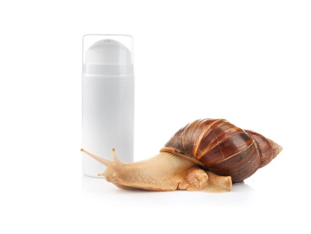 Riesige Achatina-Schnecke und Kosmetikprodukt auf weißem Hintergrund