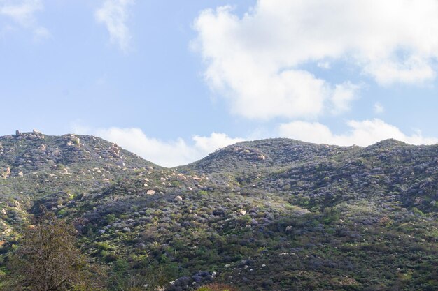 Riesige Berglandschaft Naturpflanzen