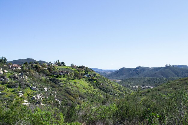 Riesige Berglandschaft Naturpflanzen