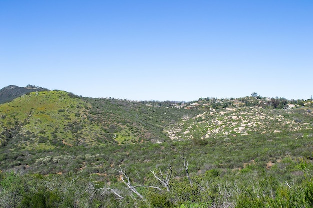 Riesige Berglandschaft Naturpflanzen