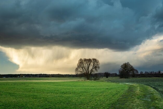 Foto riesige dunkle wolke mit regen über der grünen wiese