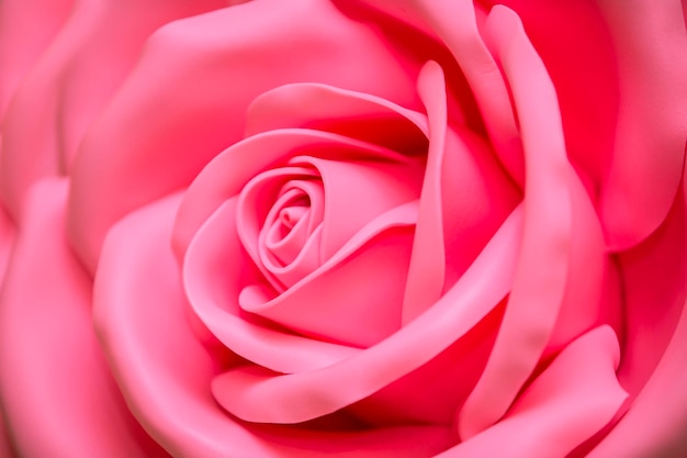 Riesige künstliche Rose BackgroundPink Blume hautnah