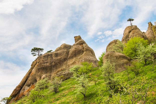 Riesige Steine mit Moos und Bäumen am Berghang