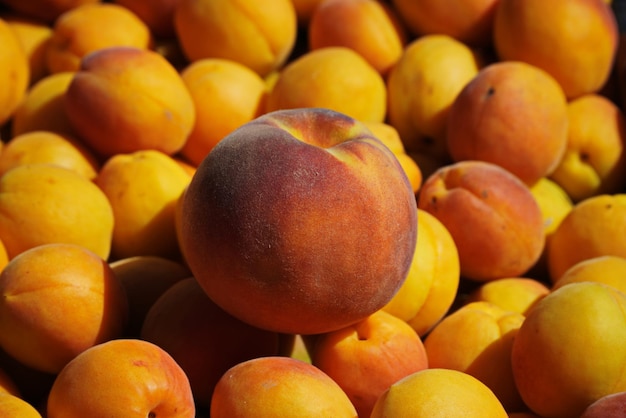 Riesiger Pfirsich unter Reife gelbe Aprikosen Nahaufnahme Draufsicht