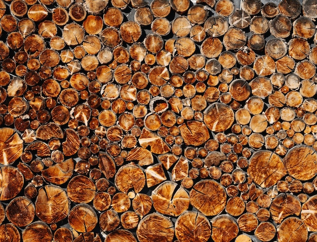 Foto riesiger stapel holzstämme unterschiedlicher größe runder stoß endet an der kamera