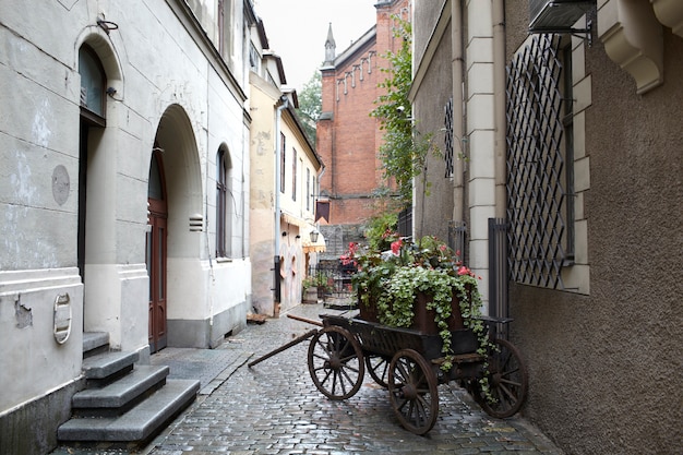 Foto riga, letonia. carro con flores.