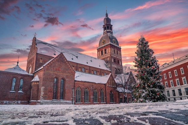 Riga, Letônia. Árvore de Natal na Praça Dome com Catedral de Riga Dome. Árvore De Natal E Marco Famoso.