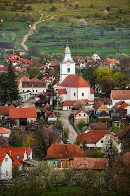 Foto rimetea ist ein kleines dorf in siebenbürgen, rumänien. es liegt im apuseni-gebirge