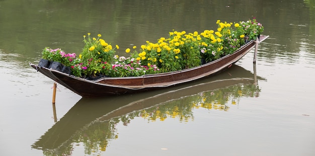 Ringelblume auf dem Boot