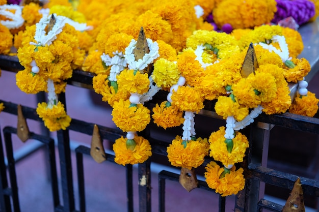 Ringelblumen blühen am Erawan-Schrein. Thao Maha Phrom Shrine ist ein Hindu-Schrein in Bangko