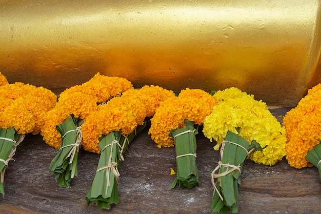 Ringelblumen-Lotusblumen werden gebracht, um Lord Buddha zu huldigen