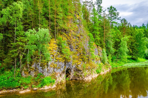 Foto un río con un acantilado y árboles en él.