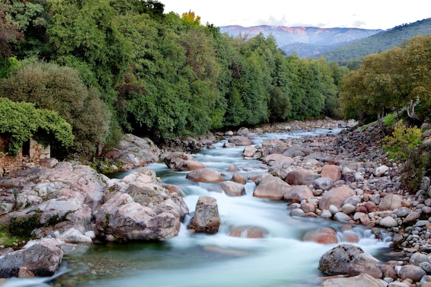 Rio agradável com águas claras