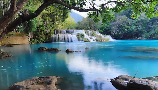 Río de agua azul con árbol verde