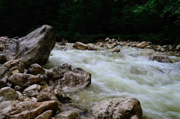 Río con agua blanca