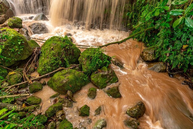 Río con agua de lluvia en la selva tropical