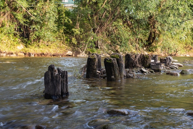 río agua paisaje naturaleza al aire libre árbol natural fondo medio ambiente madera tocón trave