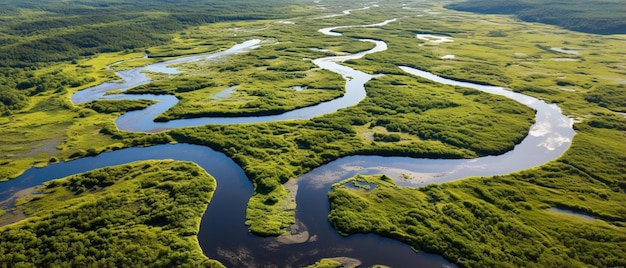 el río desde el aire