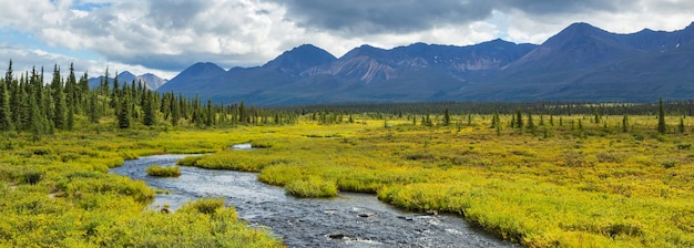 Río en Alaska