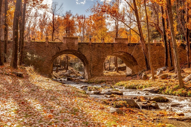 Rio alcazar, com água do degelo da sierra nevada.