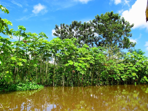 El río Amazonas en Perú América del Sur