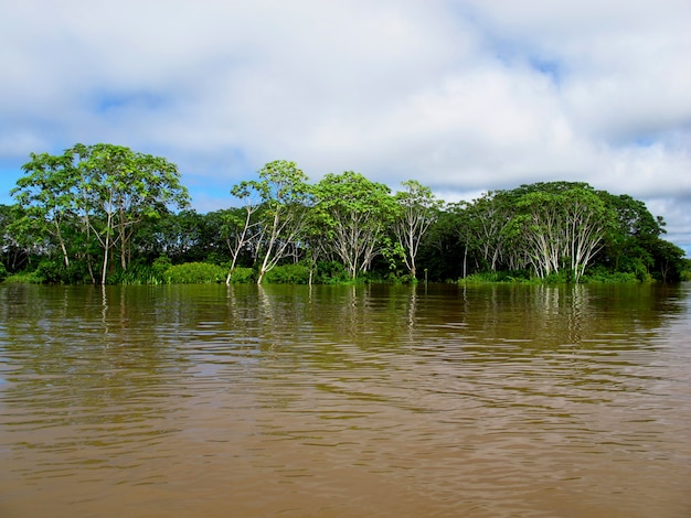 El río Amazonas en Perú, Sudamérica