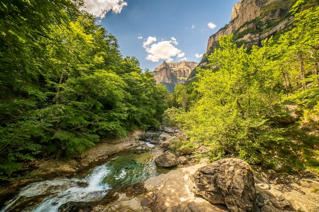 Río Ara en el valle de Ordesa en un día soleado Aragón Huesca España