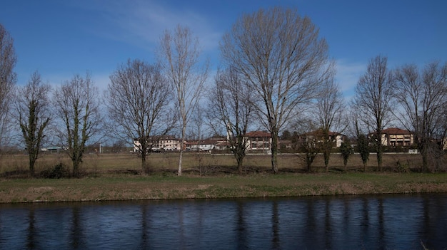 Un río con árboles y casas al fondo.