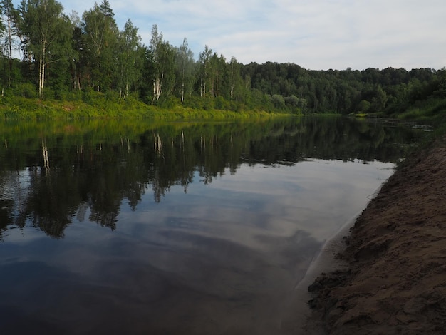 Un río con árboles y un cielo con nubes.