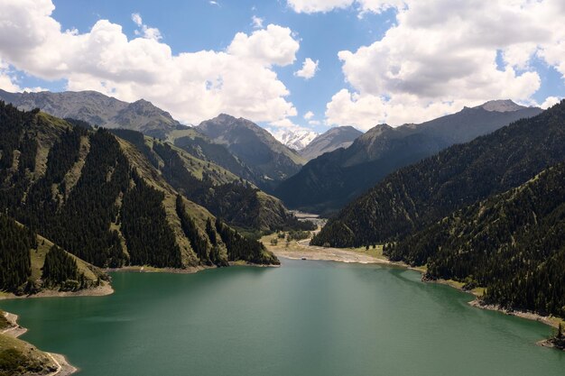 Río y árboles con día despejado.