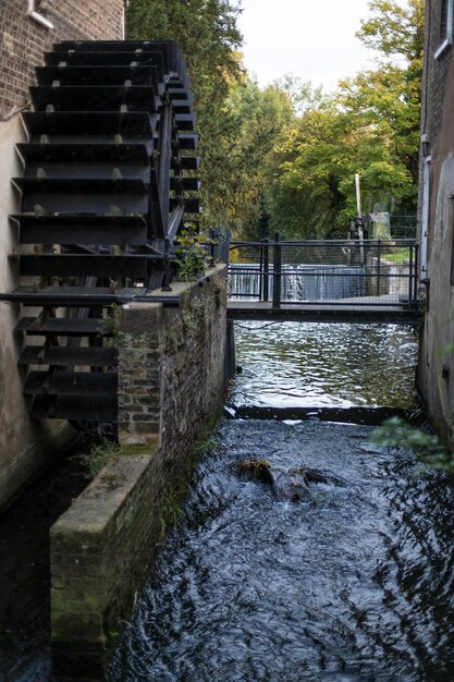 Foto río con árboles en la distancia