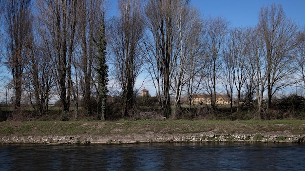 Un río con árboles y un edificio al fondo.