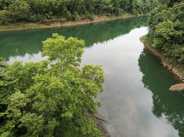 Un río con árboles y un río en primer plano.