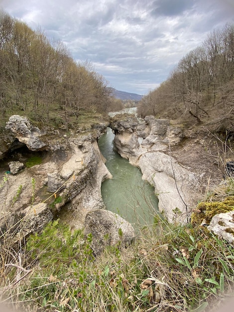 Foto un río atraviesa un bosque con una montaña verde al fondo.